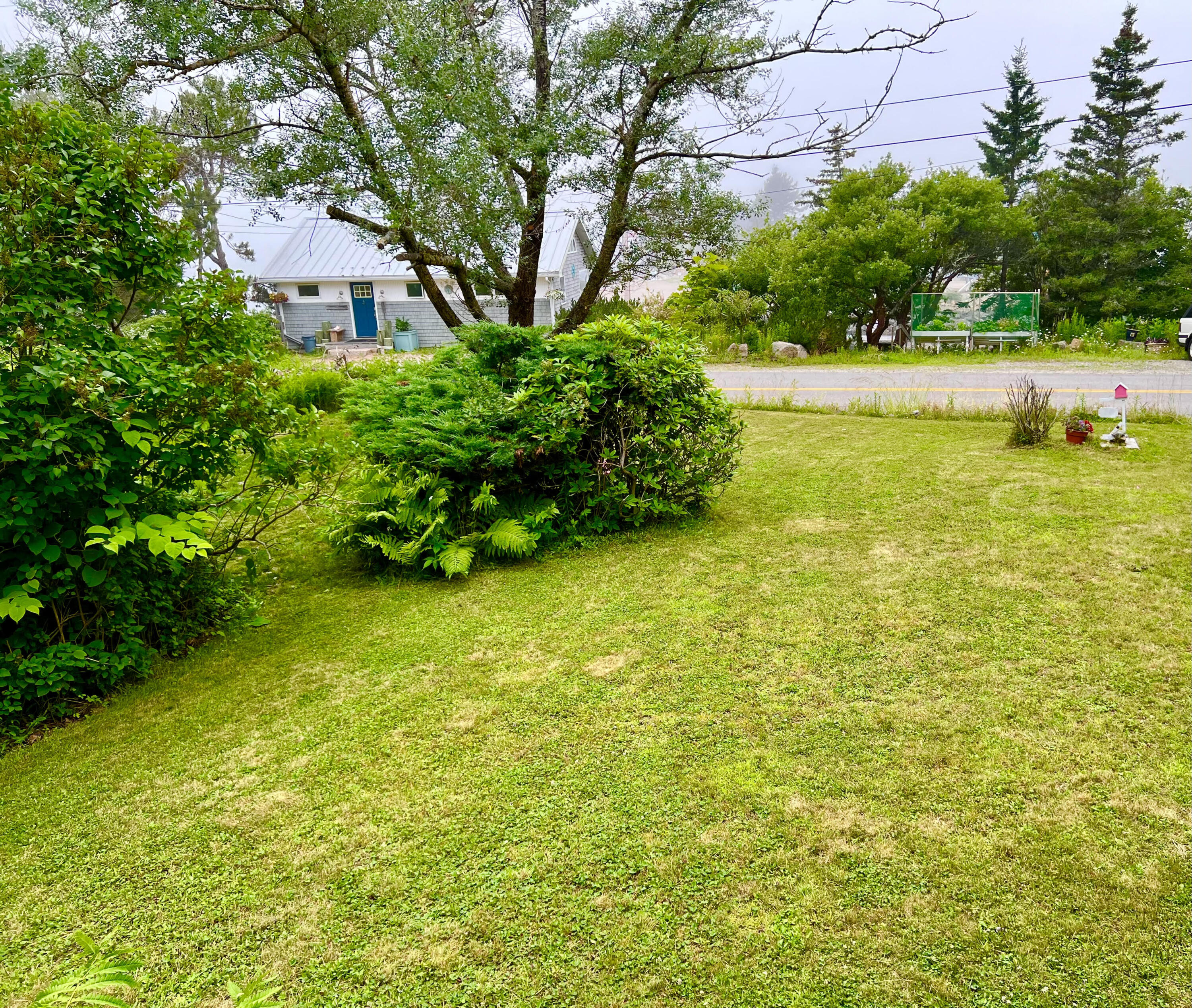 24 Shore Road Bass Harbor, ME 04653 - Photo 43 of 49 Front yard