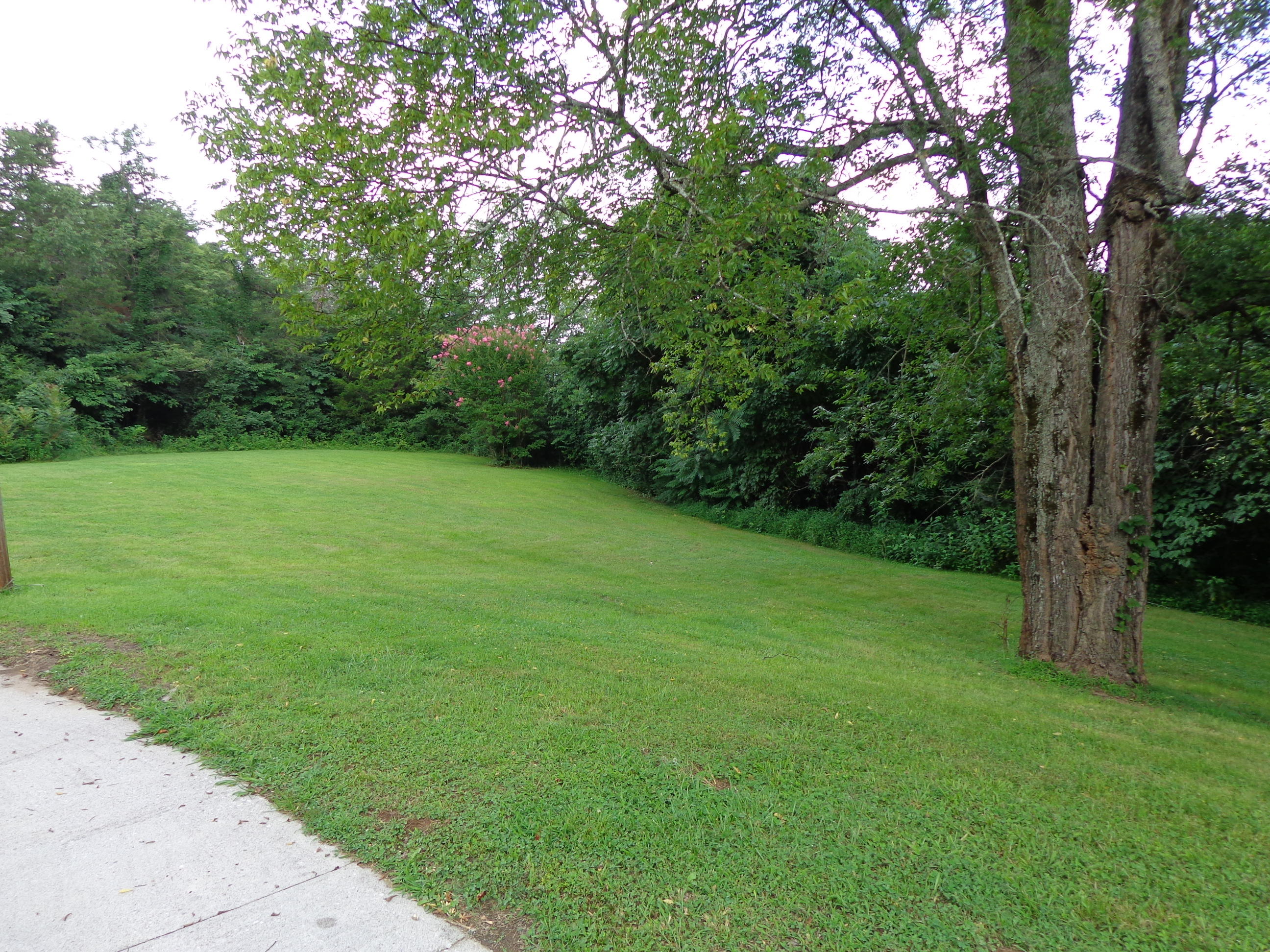 1120 Cosby Cutoff Road Newport, TN 37821 - Photo 38 of 40 #579768 cosby cut off (82)
