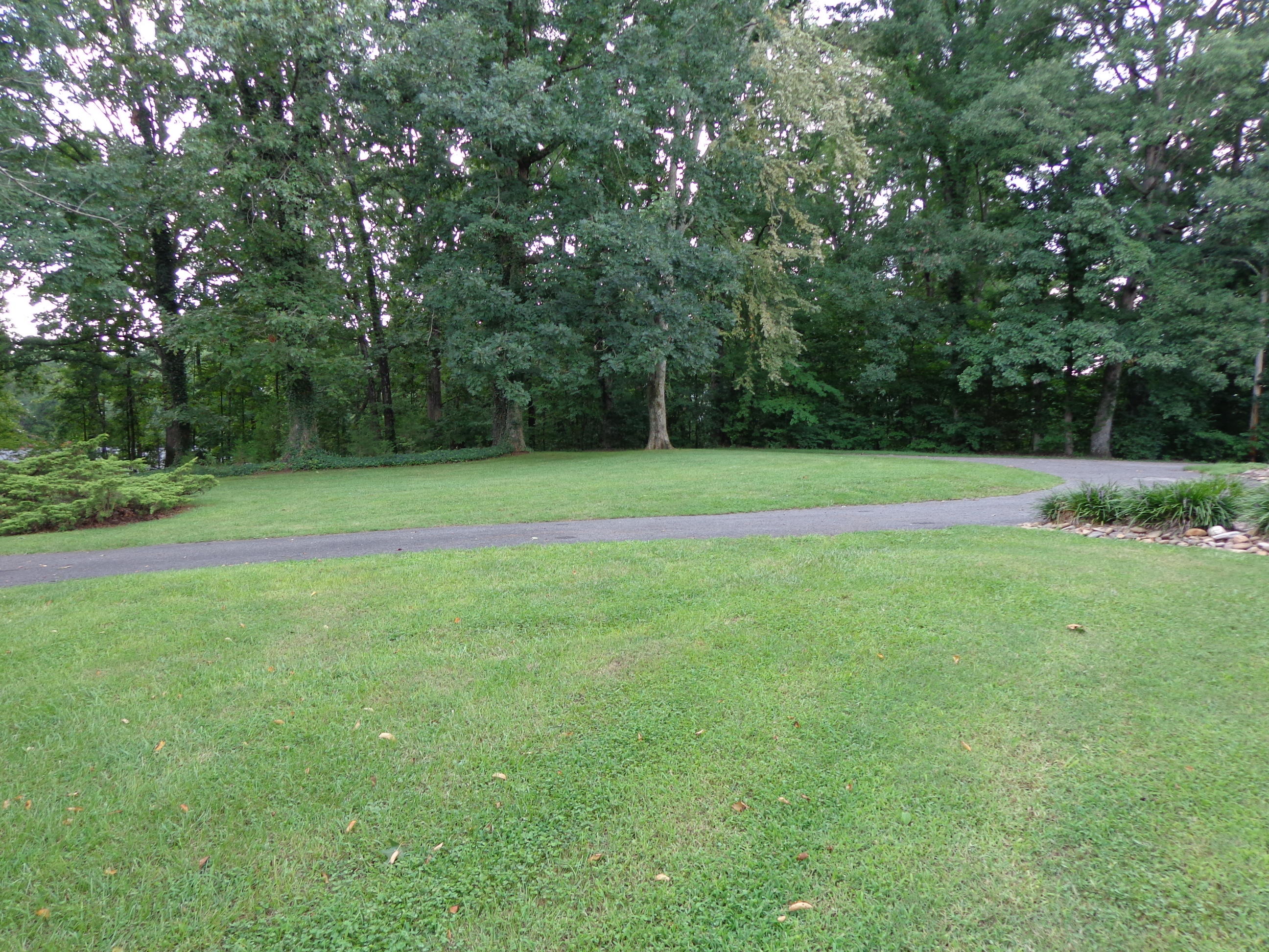 1120 Cosby Cutoff Road Newport, TN 37821 - Photo 39 of 40 #579768 cosby cut off (78)