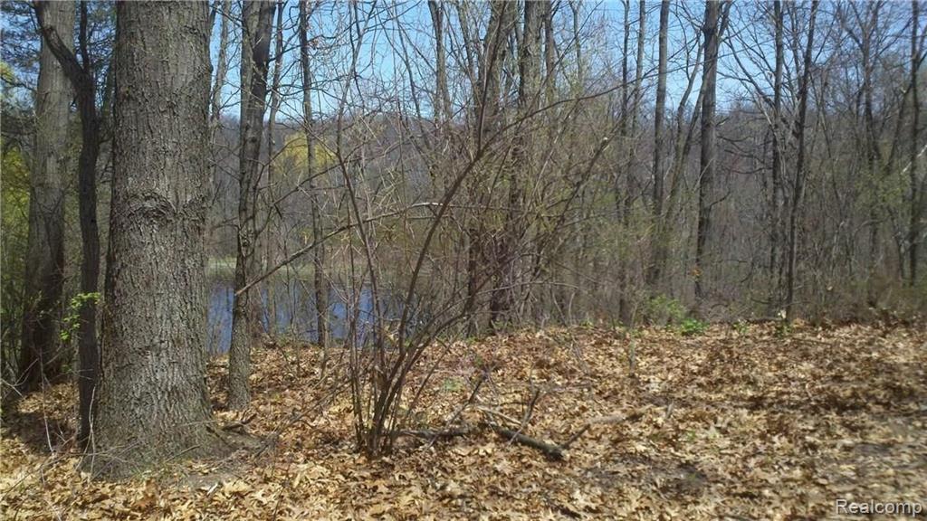 V/l V/l Doyle Road Pinckney, MI 48169 - Photo 14 of 24