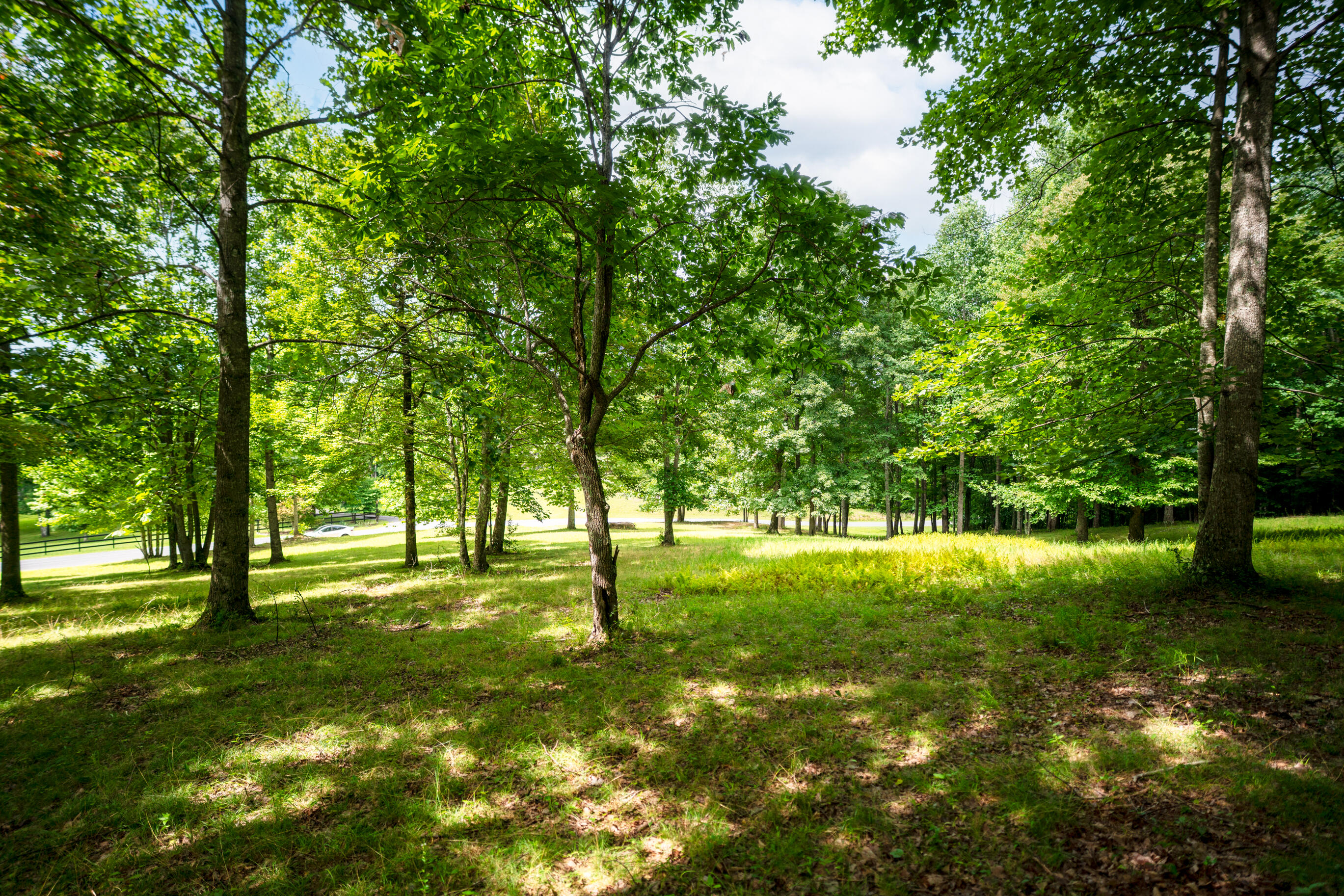 243 Roaring Creek Road Dunlap, TN 37327 - Photo 24 of 27 _DSC2446-Edit