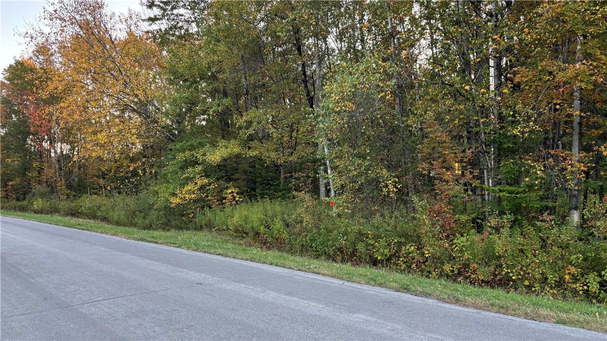 210 White Road Parish, NY 13131 - Photo 12 of 25