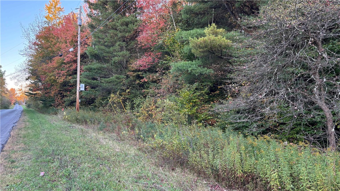 210 White Road Parish, NY 13131 - Photo 13 of 25