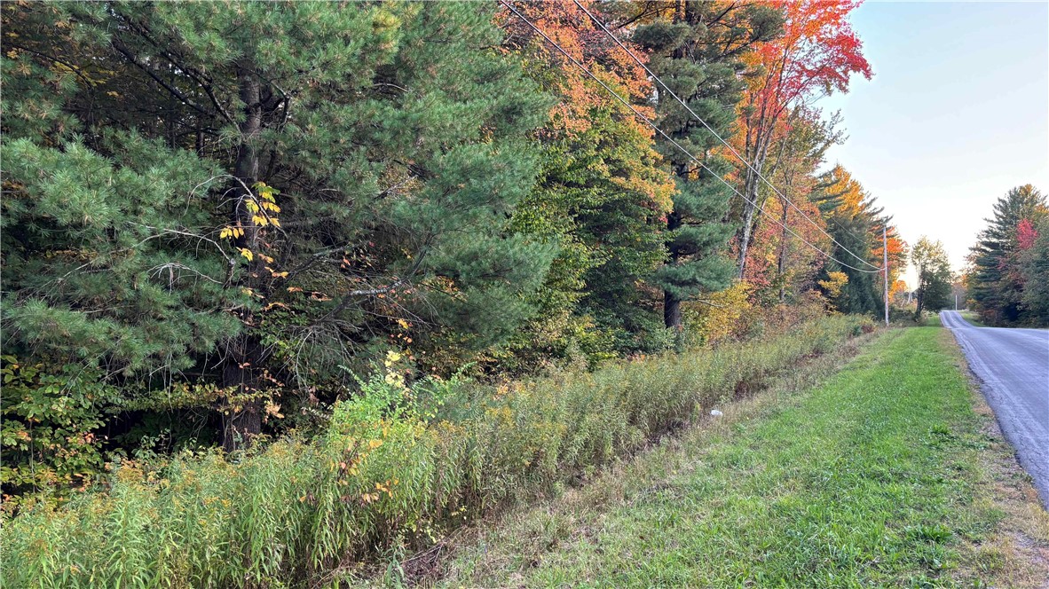 210 White Road Parish, NY 13131 - Photo 14 of 25