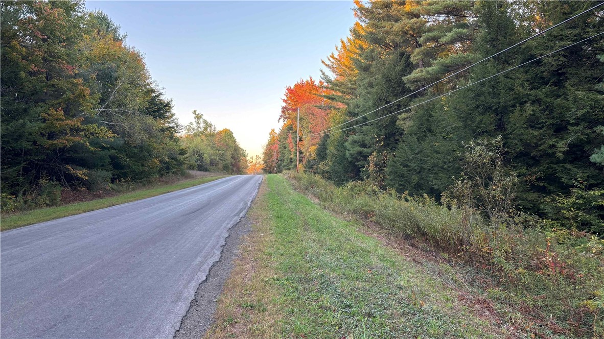 210 White Road Parish, NY 13131 - Photo 15 of 25