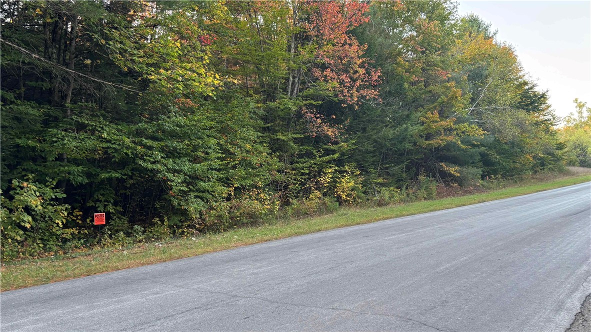 210 White Road Parish, NY 13131 - Photo 17 of 25