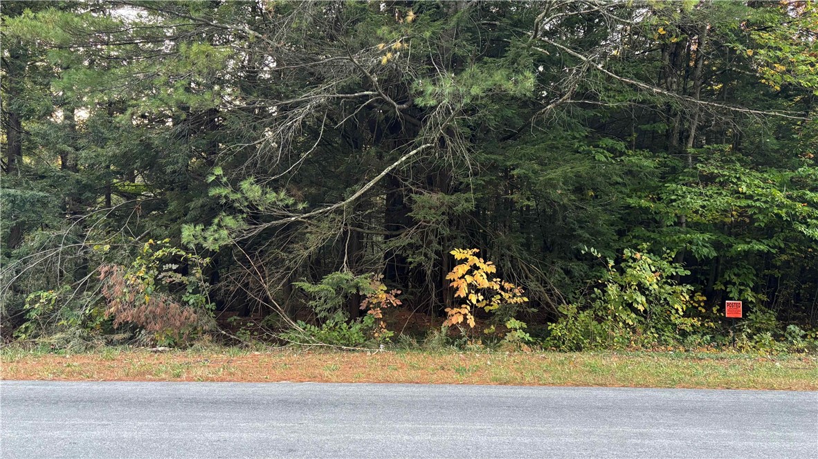 210 White Road Parish, NY 13131 - Photo 18 of 25