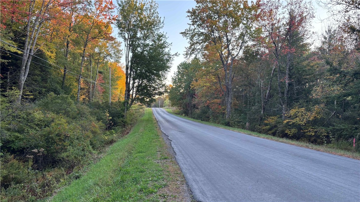 210 White Road Parish, NY 13131 - Photo 20 of 25