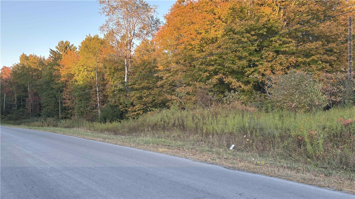 210 White Road Parish, NY 13131 - Photo 21 of 25