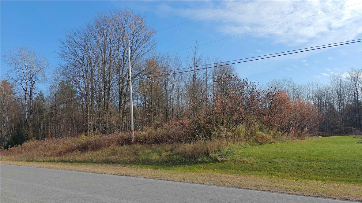 210 White Road Parish, NY 13131 - Photo 24 of 25