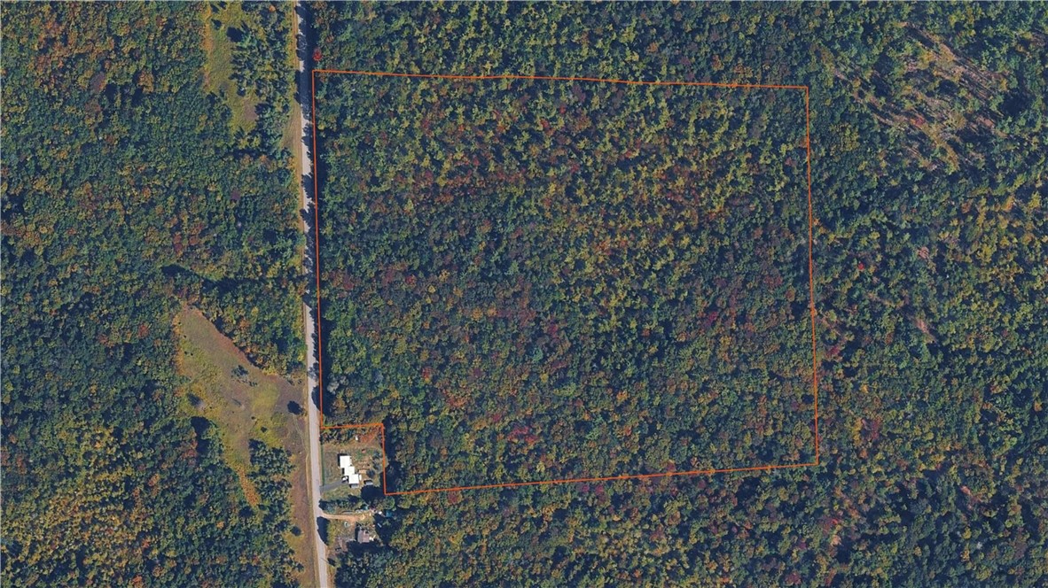 210 White Road Parish, NY 13131 - Photo 3 of 25