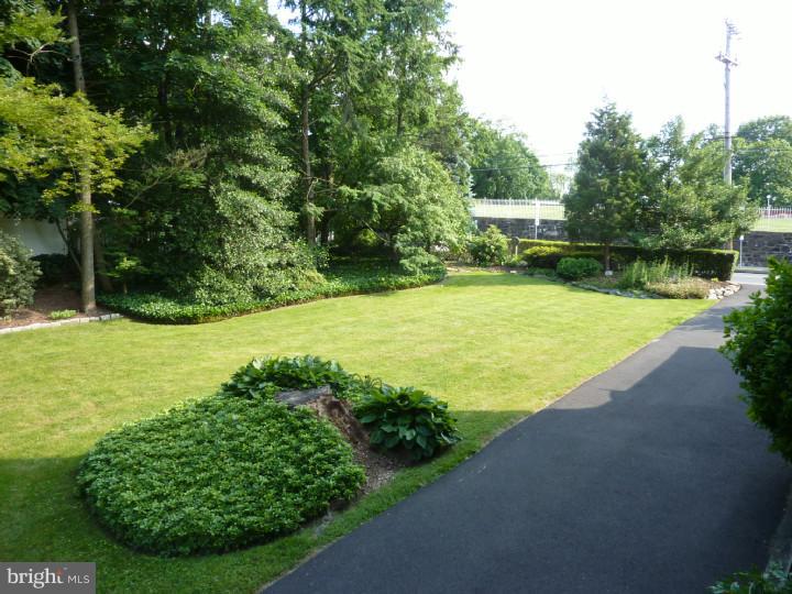 Side Yard