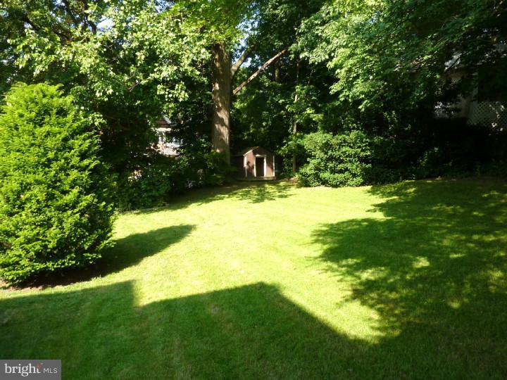 112 Township Line Road Jenkintown, PA 19046 - Photo 23 of 24 Side Yard