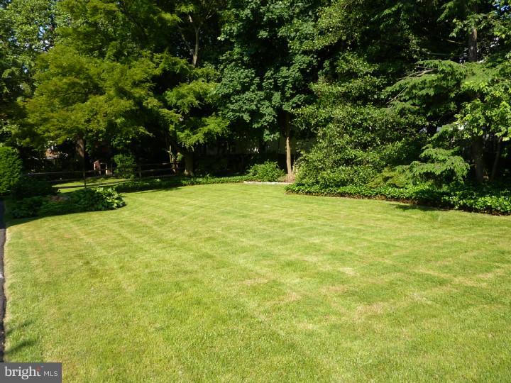 112 Township Line Road Jenkintown, PA 19046 - Photo 24 of 24 Side Yard