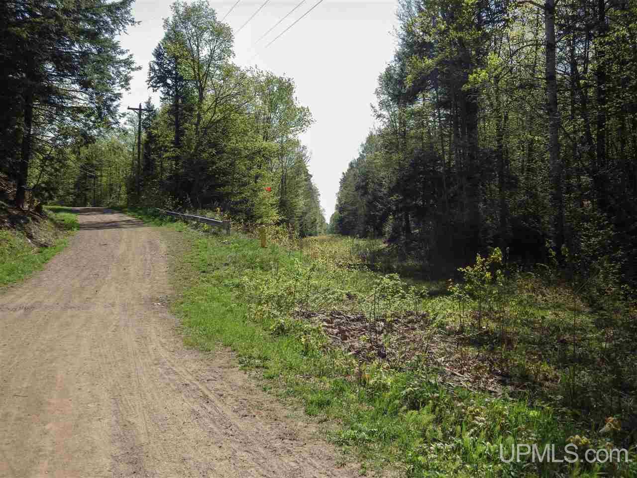 30 Acres Off Grove Street Marquette, MI 49855 - Photo 20 of 22