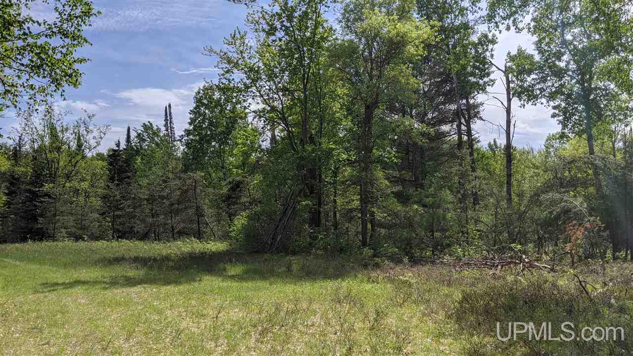 T-wi Wi 54121 Road Florence, WI 54121 - Photo 3 of 11