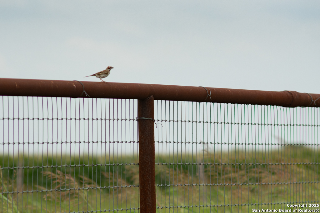 4190 Atkins Road Salado, TX 76571 - Photo 35 of 49 a view of a balcony
