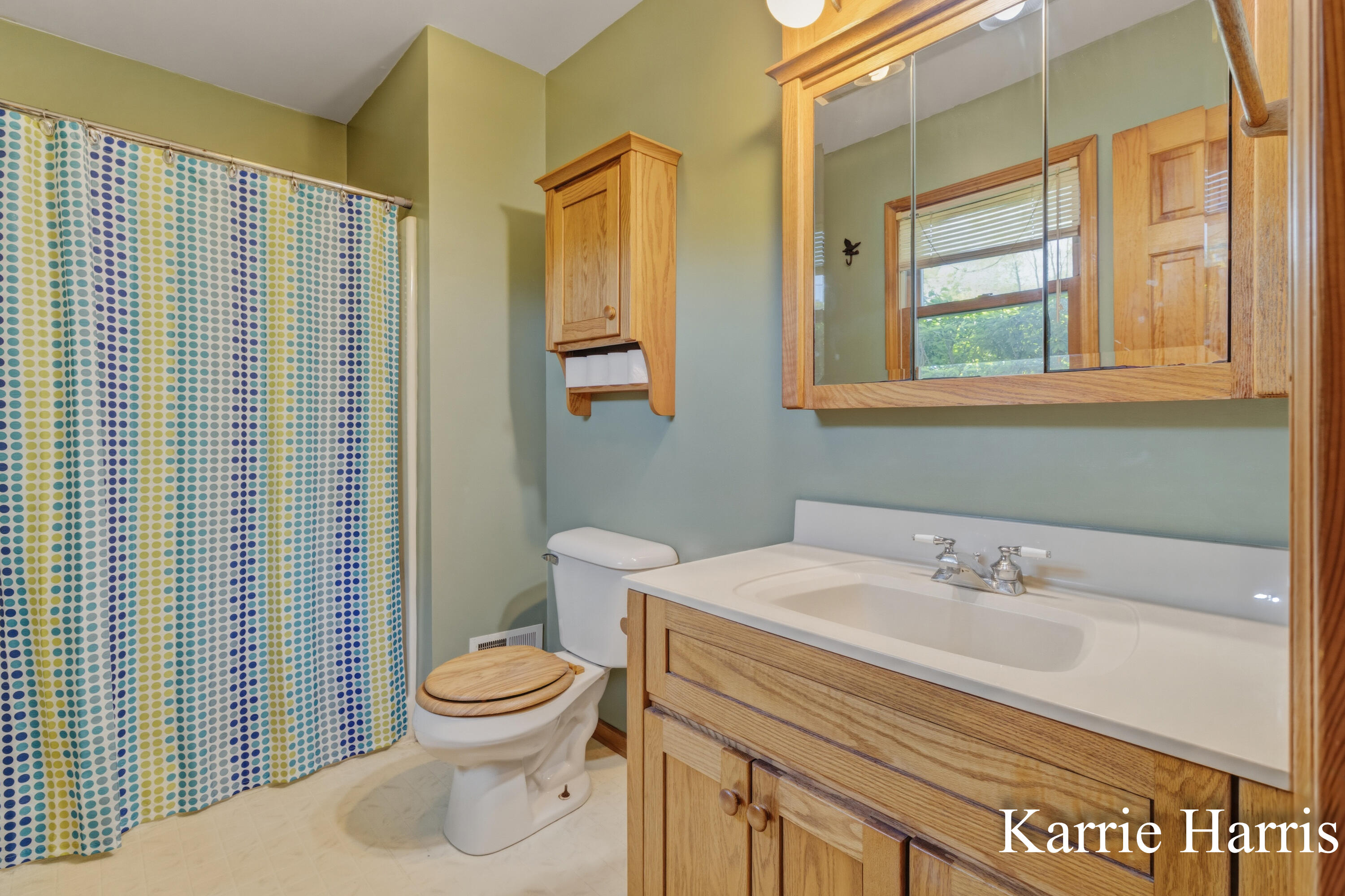 6048 Cedar Lake Road Southeast Sheridan, MI 48884 - Photo 24 of 39 Primary bedroom bathroom