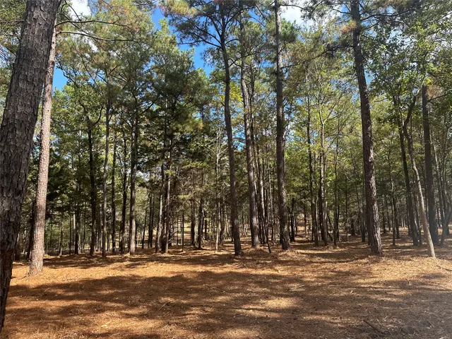 $150,000 | 751 Red Hollow, Livingston, TX 77351