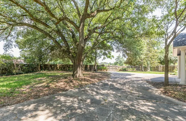 a view of a tree in the middle of a yard