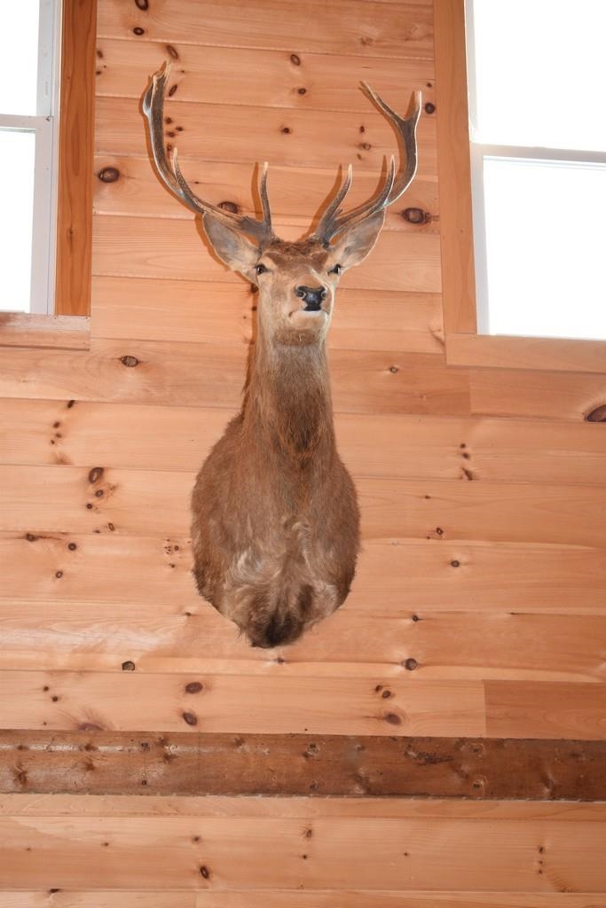 338 Percy Road Stark, NH 03582 - Photo 35 of 50