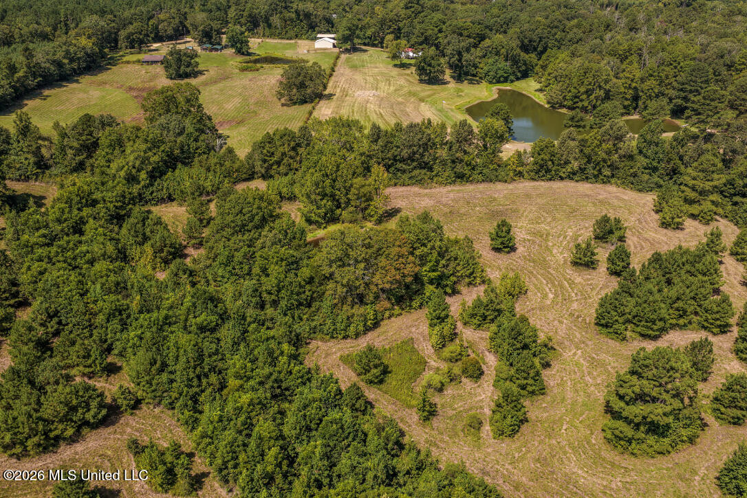 5056 Bethesda Road Crystal Springs, MS 39059 - Photo 17 of 48 DJI_20260818112333_0715_D