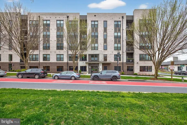 a building view with tall trees and plants