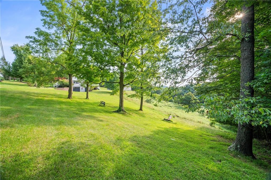 3766 North Balsiger Road Vandergrift, PA 15690 - Photo 30 of 34 a view of field with trees