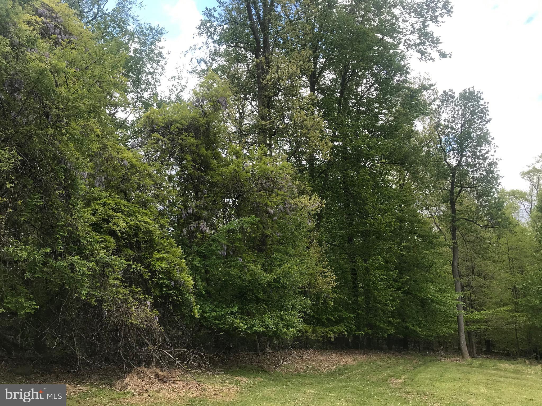 1950 Castleton Road Darlington, MD 21034 - Photo 42 of 53 Wooded Lot