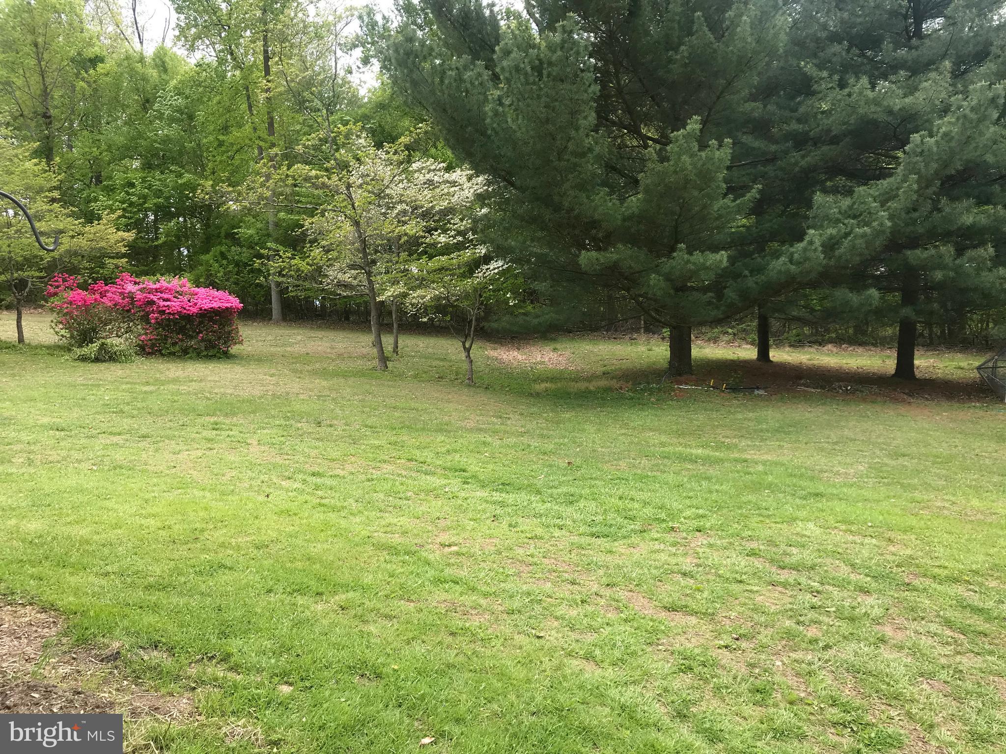 1950 Castleton Road Darlington, MD 21034 - Photo 51 of 53 Side Yard