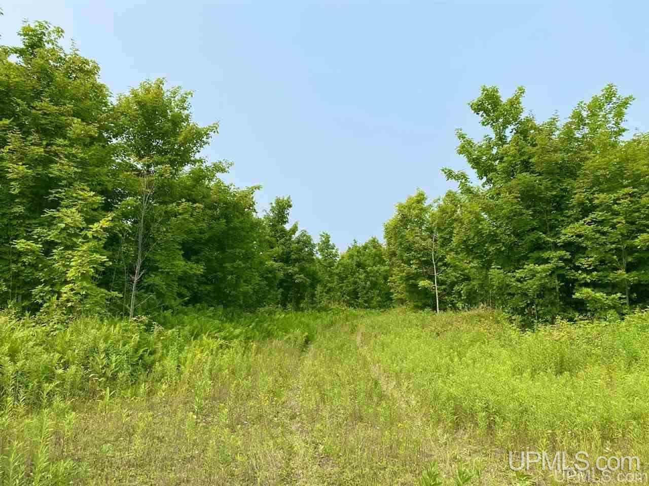 Tbd Southside Road Manistique, MI 49854 - Photo 11 of 36 Gallery Image 11