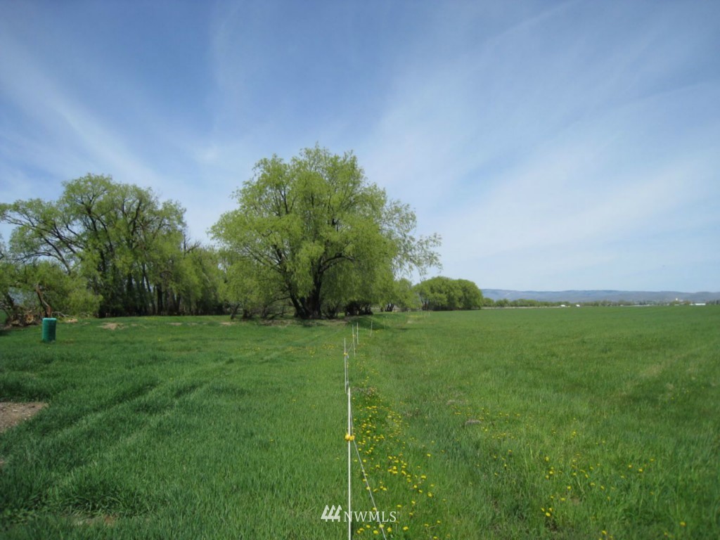 6621 Tjossem Road Ellensburg, WA 98926 - Photo 10 of 11 Gallery Image 10