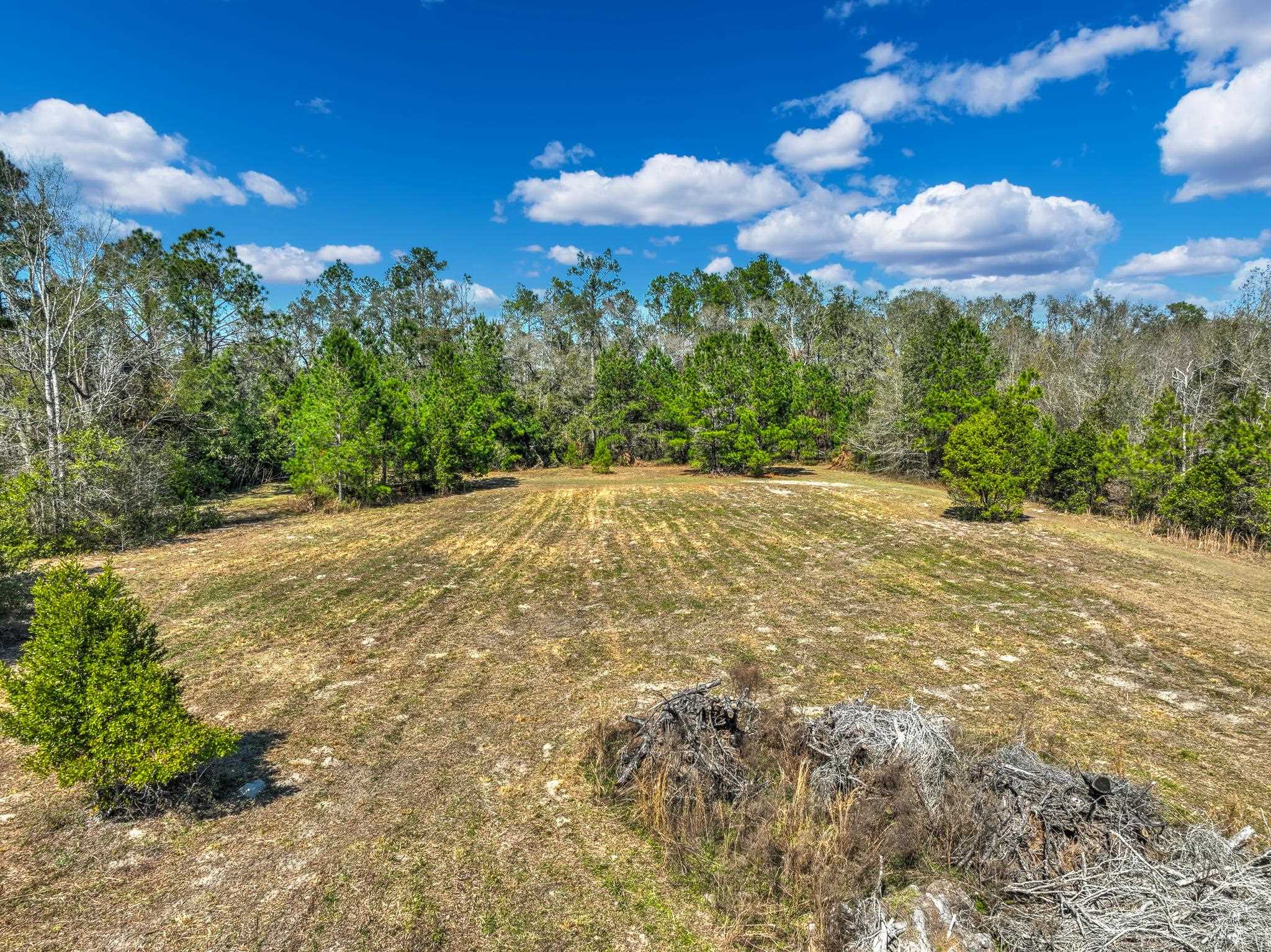 Tbd North Johnson Stripling Road Perry, FL 32347 - Photo 3 of 9