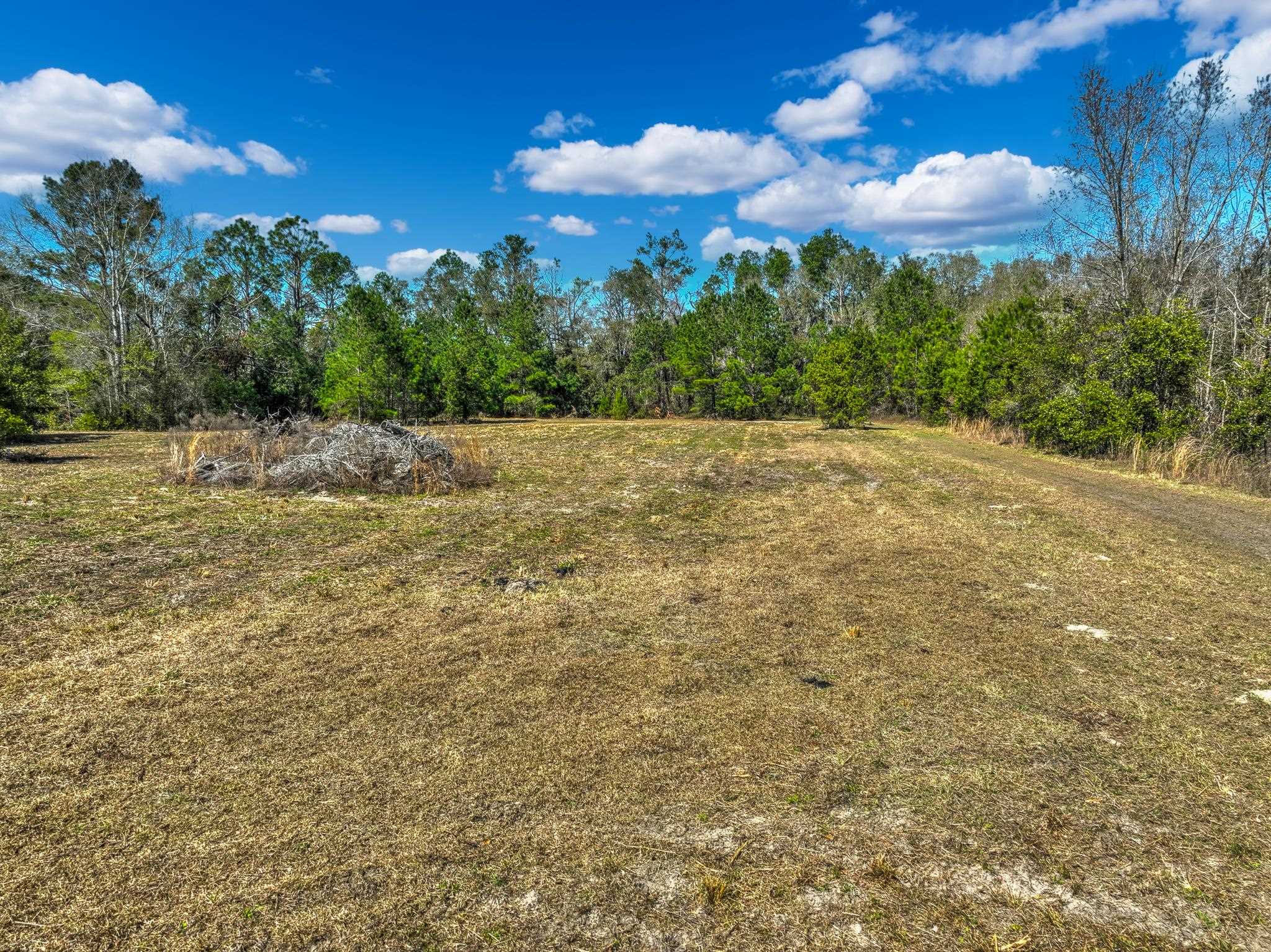 Tbd North Johnson Stripling Road Perry, FL 32347 - Photo 4 of 9