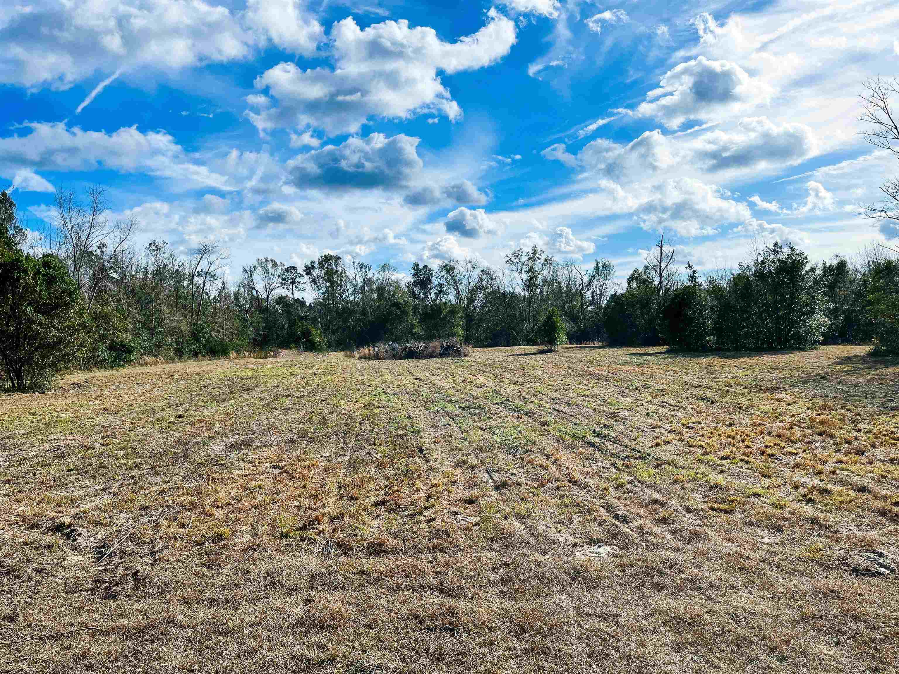 Tbd North Johnson Stripling Road Perry, FL 32347 - Photo 5 of 9