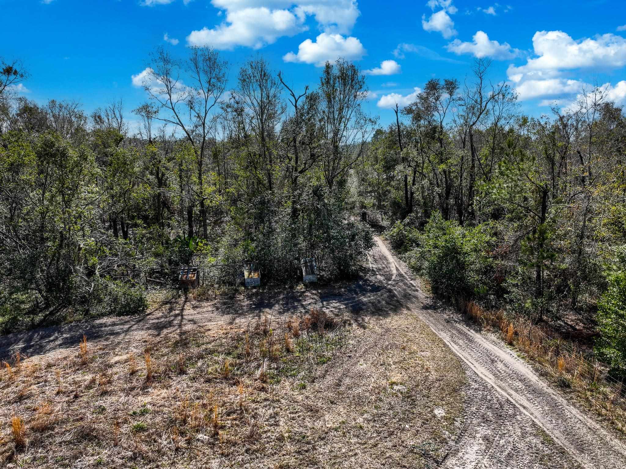 Tbd North Johnson Stripling Road Perry, FL 32347 - Photo 6 of 9