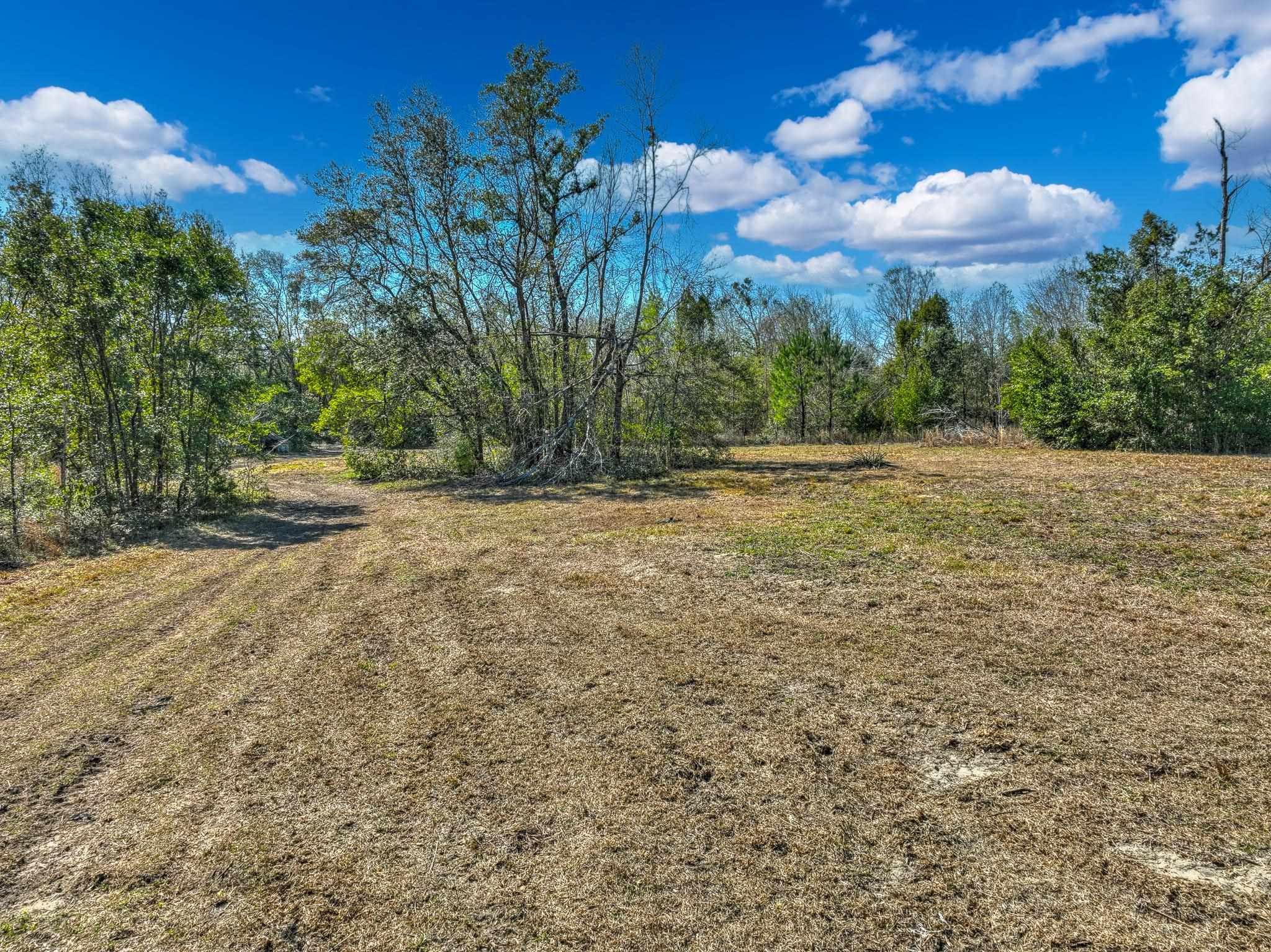 Tbd North Johnson Stripling Road Perry, FL 32347 - Photo 8 of 9
