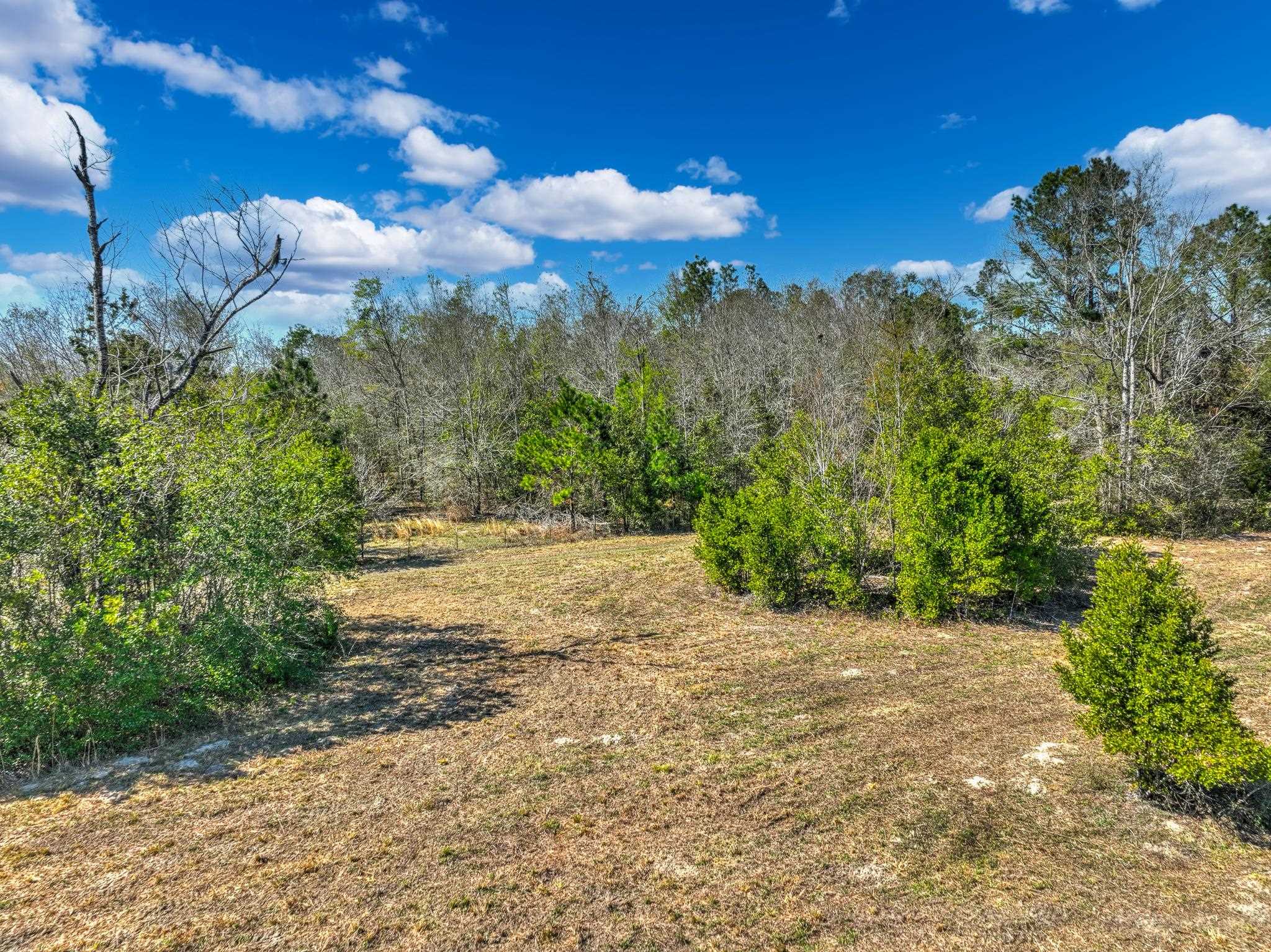 Tbd North Johnson Stripling Road Perry, FL 32347 - Photo 9 of 9