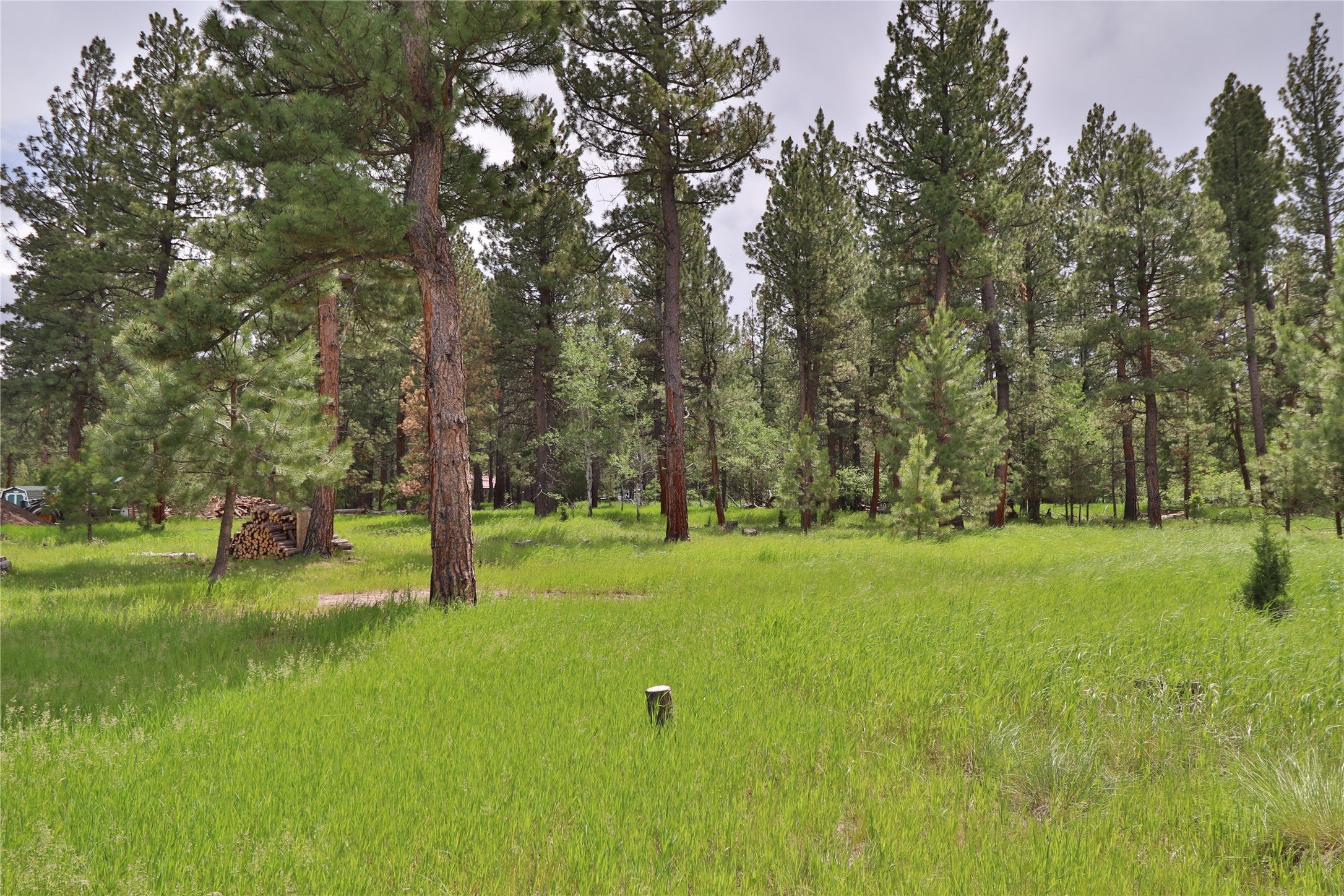 4587 Patterson Loop Lincoln, MT 59639 - Photo 11 of 21 Gallery Image 11
