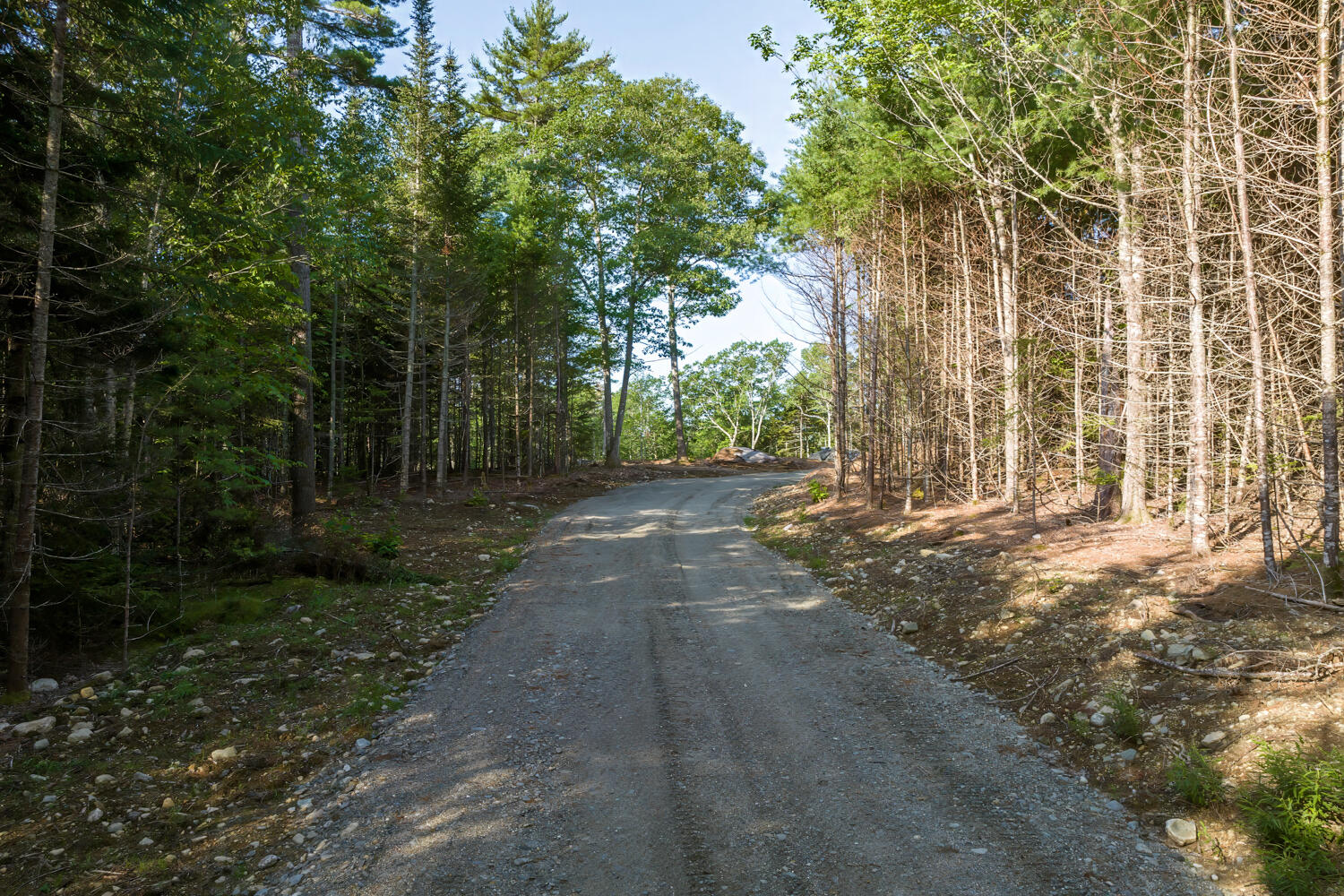 10 Patty Road Bar Harbor, ME 04609 - Photo 3 of 23 11-000 Patty Lot Road,-DTP