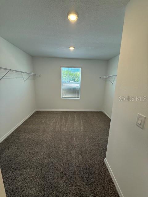 2339 White Tail Street Davenport, FL 33837 - Photo 15 of 17