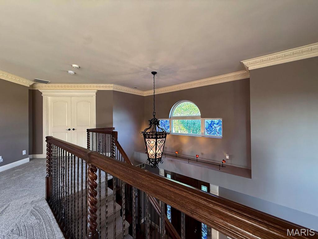 107 Morgan Lake Road De Soto, MO 63020 - Photo 24 of 57