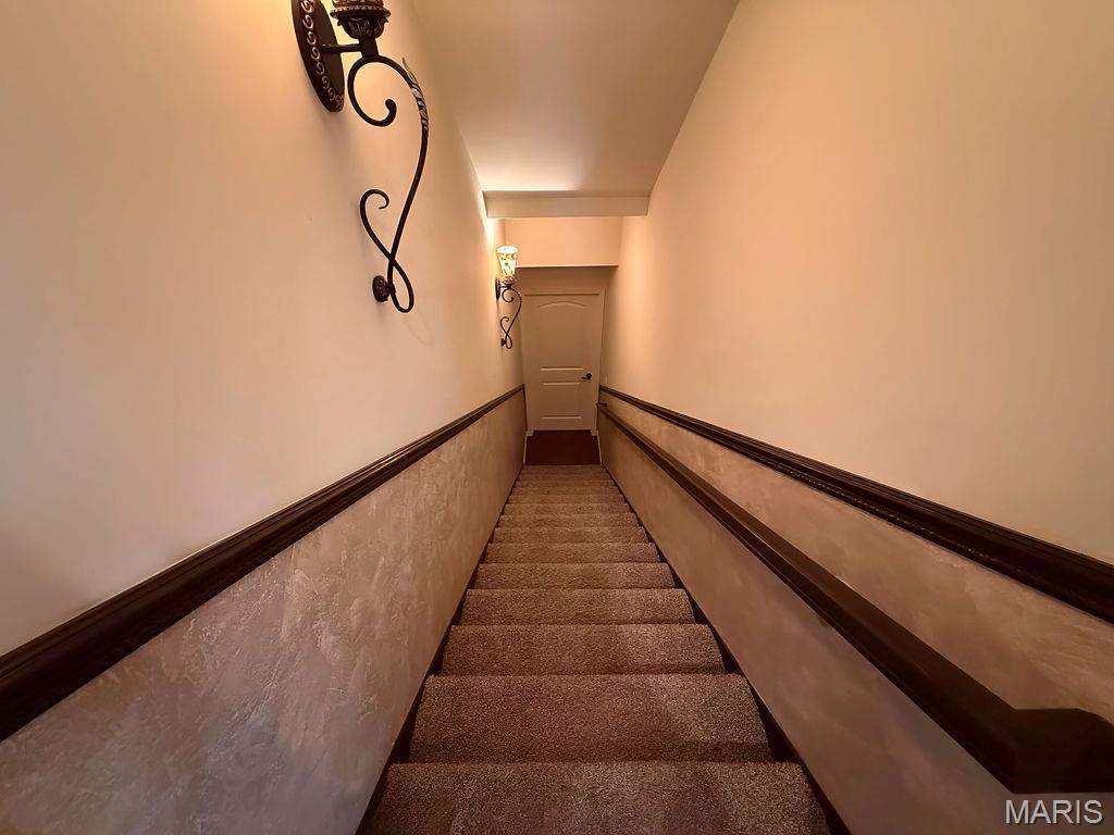 107 Morgan Lake Road De Soto, MO 63020 - Photo 32 of 57