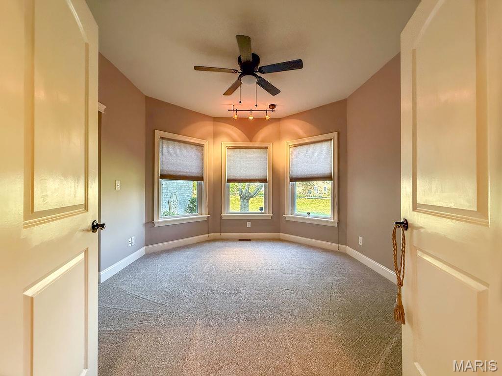 107 Morgan Lake Road De Soto, MO 63020 - Photo 39 of 57