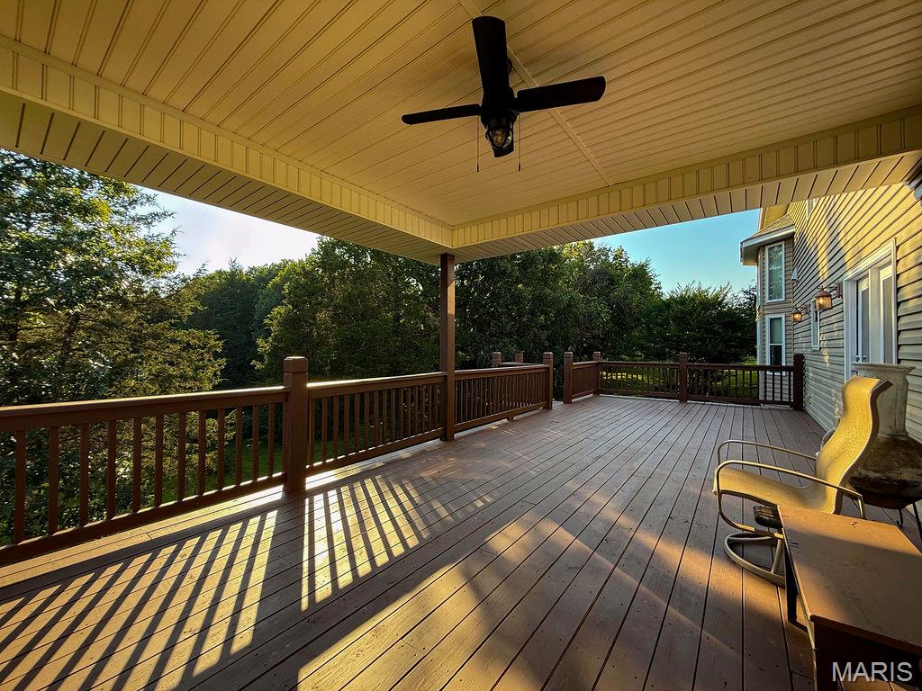 107 Morgan Lake Road De Soto, MO 63020 - Photo 46 of 57