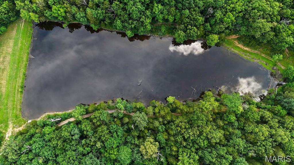 107 Morgan Lake Road De Soto, MO 63020 - Photo 5 of 57