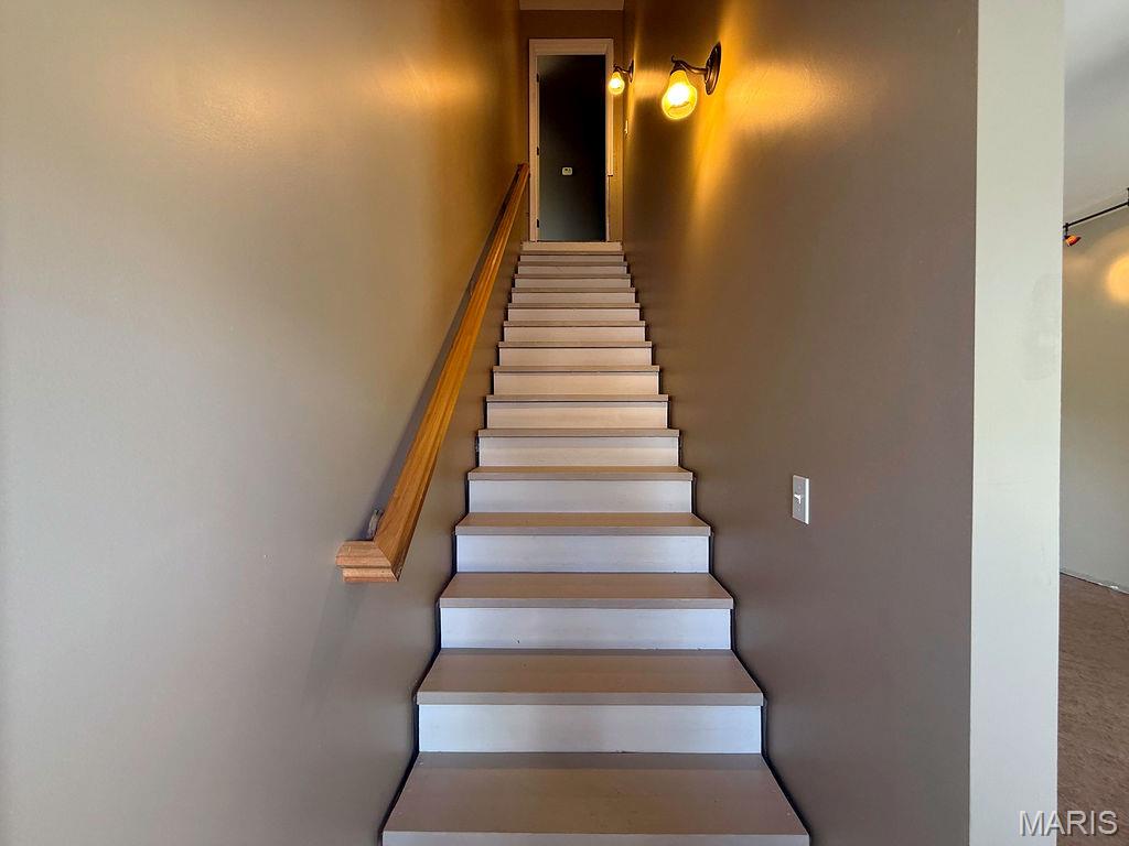 107 Morgan Lake Road De Soto, MO 63020 - Photo 51 of 57