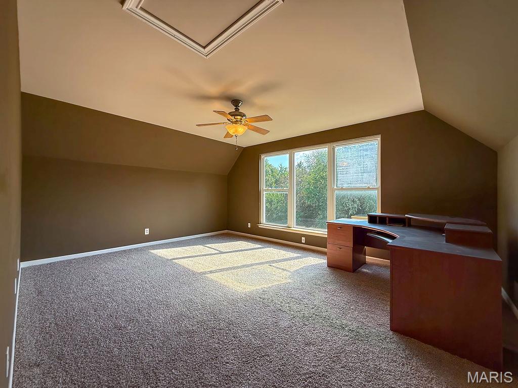 107 Morgan Lake Road De Soto, MO 63020 - Photo 52 of 57