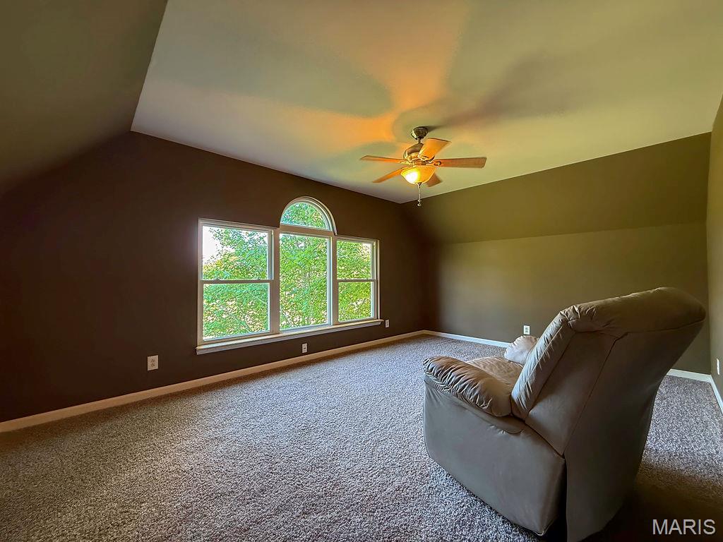 107 Morgan Lake Road De Soto, MO 63020 - Photo 53 of 57