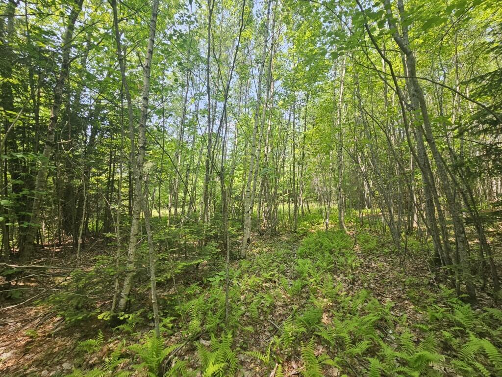 2016 Hudson Road Hudson, ME 04449 - Photo 19 of 36